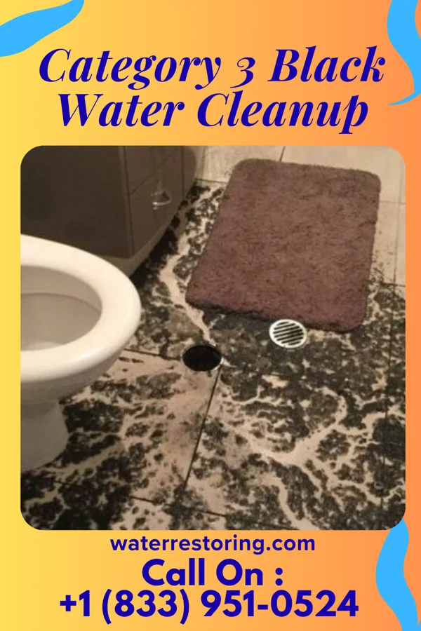 Category 3 Black Water Cleanup in Ashley, PA
