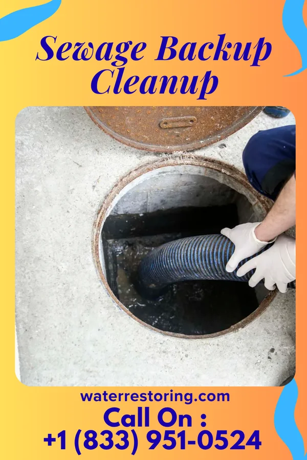 Sewage Backup Cleanup in Ashley, PA