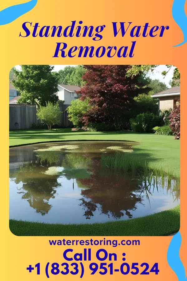 Standing Water Removal in Ashley, PA
